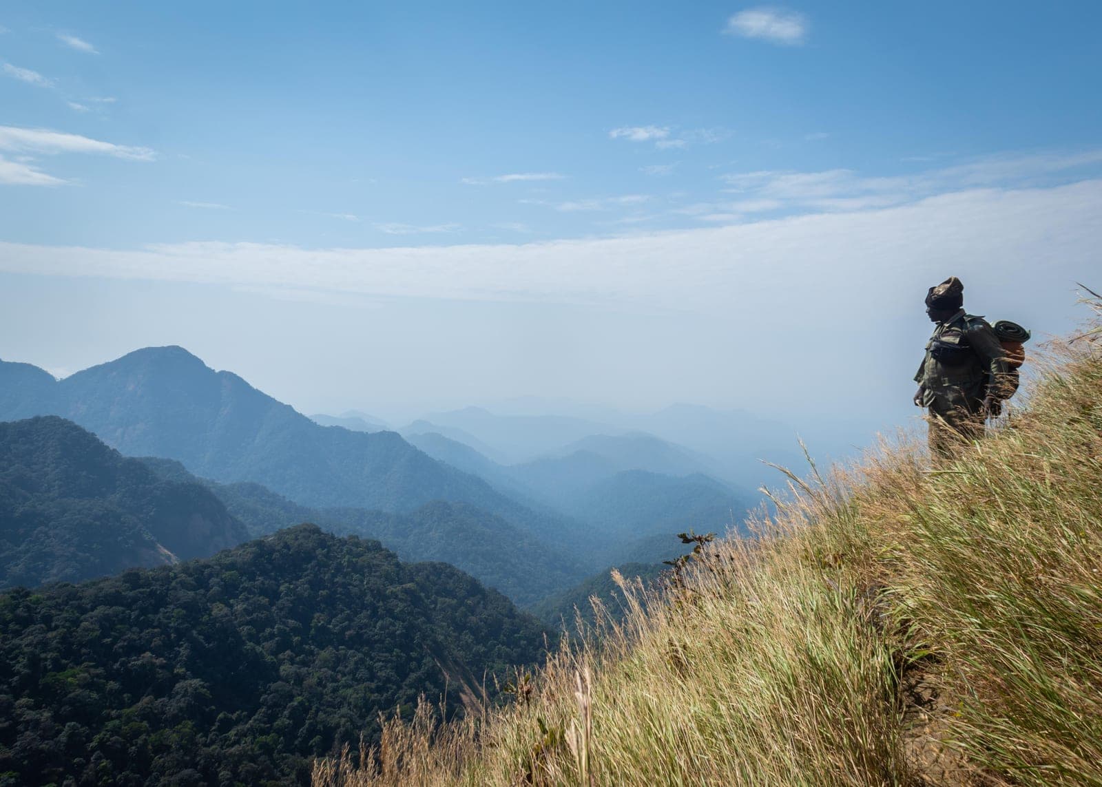Forest landscape in Cross River National Park